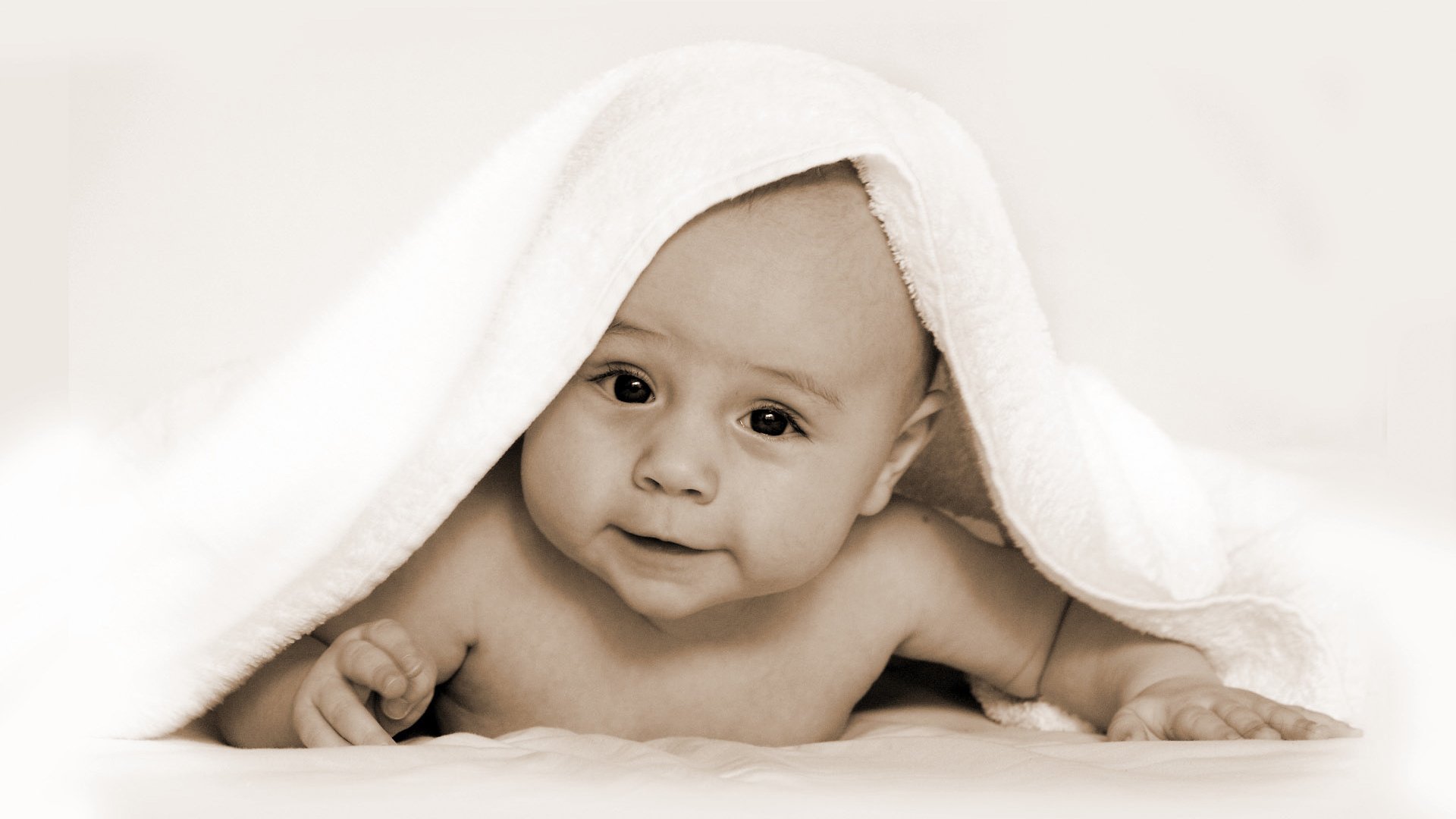 丽水试管供卵早期胚胎培养成功率